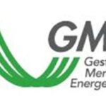 Il logo del GME