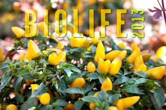 Biolife 2013: il biologico d'eccellenza in mostra a Bolzano