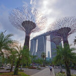 Da non perdere - Singapore, Super Tree Grove