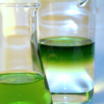 Cos'è SPRING? Il cluster della chimica verde per lo sviluppo della bioindustria italiana
