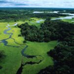 WWF, Amazzonia sempre più a rischio