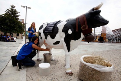 La festa del latte all'Expo