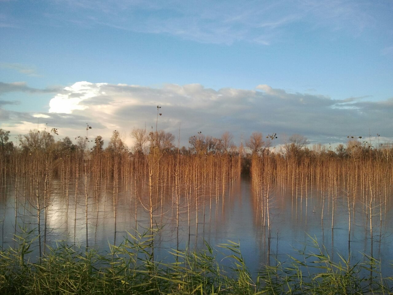 Tre riserve italiane entrano in lista Biosfera Unesco