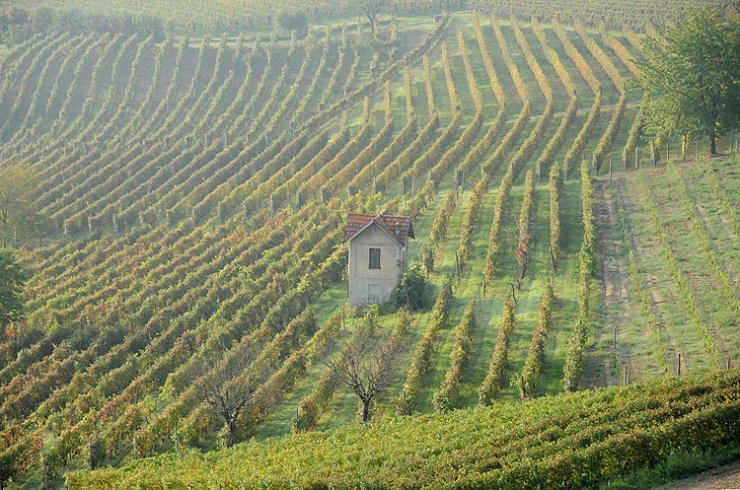 Ricerca agricola e agroalimentare, a Expo presentato il Crea