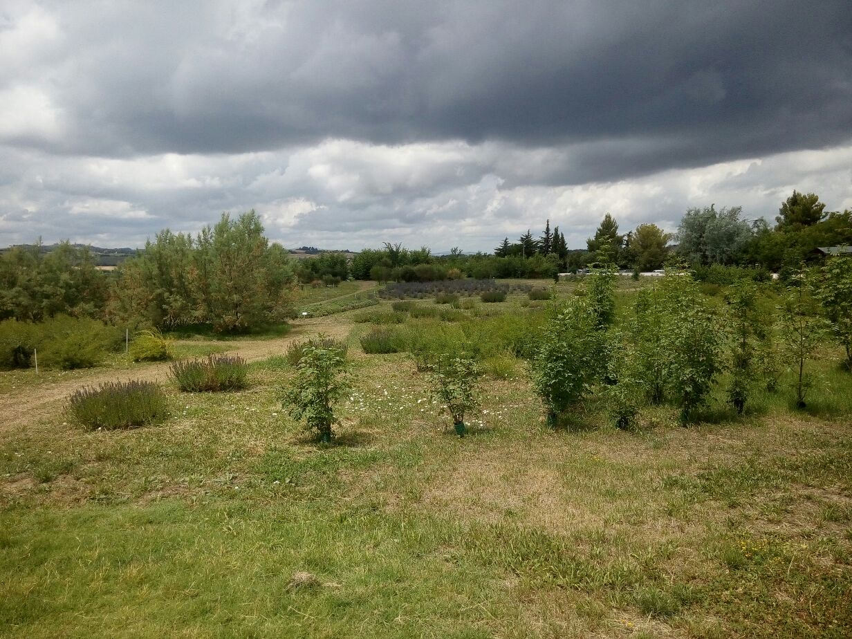 Oasi della biodiversità in ... discarica