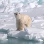 Droni del Cnr in Artico per studiare i cambiamenti climatici