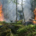 Sabato di fuoco, 59 incendi in un giorno. Il decalogo Coldiretti