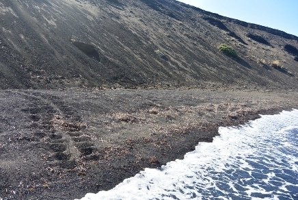 Linosa, spiaggia di Pozzolana di Ponente