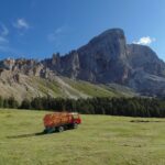 In rete la “Comunità di montagna green e smart”