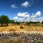 Terreni e aziende agricole confiscate: firmato protocollo tra Mipaaf e ANBSC