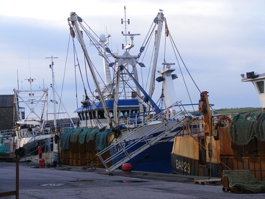 Pesca, c'è il decreto per il pesce spada