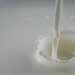 Quote latte, nuove disposizioni operative su fideiussioni per rateizzazione multe