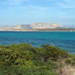 Cinema ecosostenibile all'Isola dell'Asinara