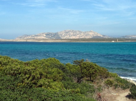 Cinema ecosostenibile all'Isola dell'Asinara