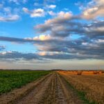OGM, Italia notifica a UE richiesta per divieto coltivazione in tutto il territorio