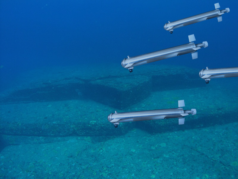 Tecnologia, pesci-robot per la difesa di Venezia dall’acqua alta