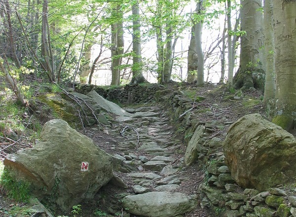 Parco dei Beiguei, Liguria, strada megalitica