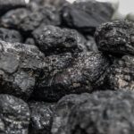 Wwf contro il carbone