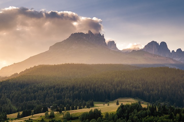 Clima. Inverno troppo caldo, a Bolzano i primi pollini arrivano in anticipo