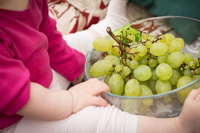 Parlamento Ue, ridurre il tenore di zucchero consentito negli alimenti per bambini