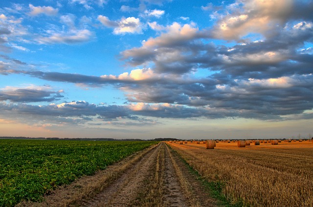 Agricoltura. Nitrati: da Bruxelles ok deroghe Lombardia e Piemonte