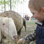 Il 16 e il 17 aprile a Guastalla c'è Georgica, festa della terra, delle acque e del lavoro nei campi