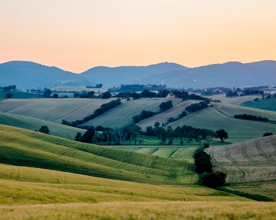 Concorso fotografico La terra: un tesoro da custodire